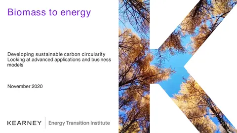 Developing sustainable carbon circularity Looking at advanced applications and business models