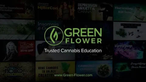 Green Flower Media Pitch Deck