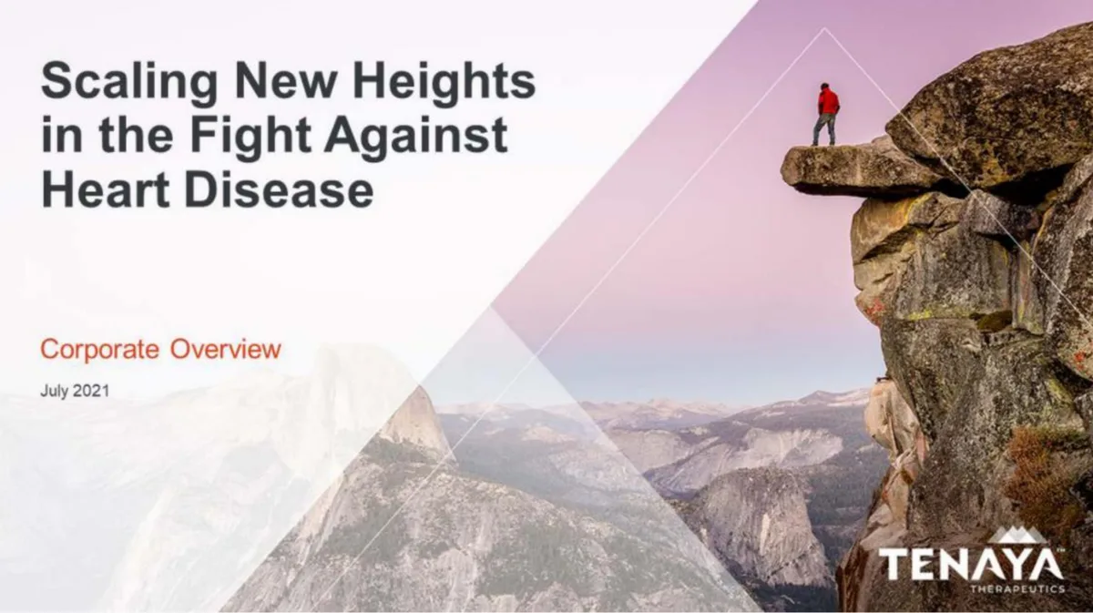 Features a metaphorical image of a person on a cliff edge, aligning with the 'Scaling New Heights' theme.