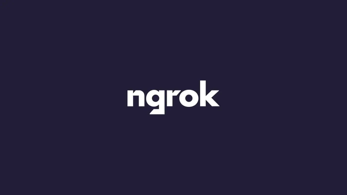 See the pitch deck that got Ngrok's first-time founder $50 million · slide 1